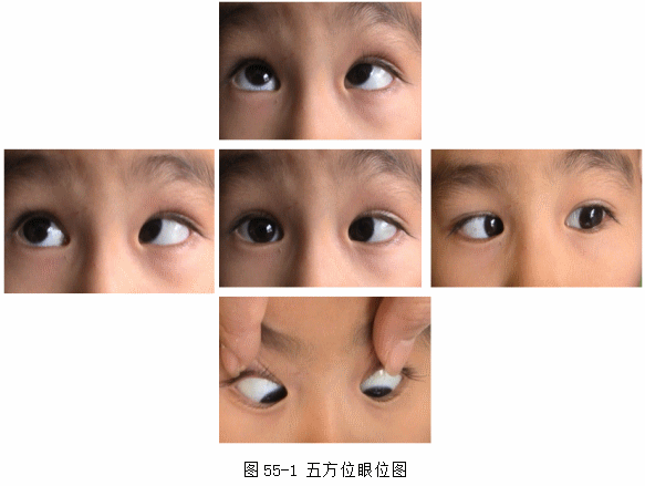 ZY016_289_2.gif